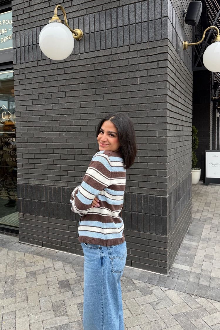 Misha Brown and Blue Stripe Button Down Cardigan